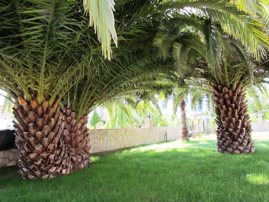 Dalyan Palmiye Resort Hotel エクステリア 写真