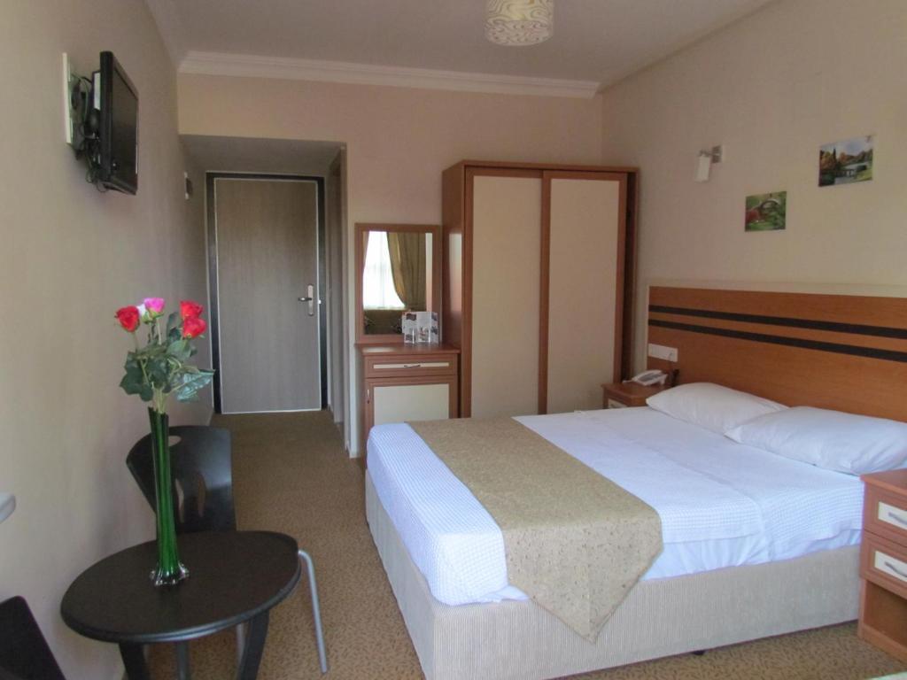 Dalyan Palmiye Resort Hotel 部屋 写真