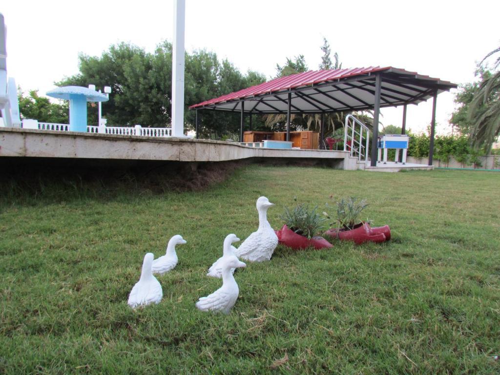 Dalyan Palmiye Resort Hotel エクステリア 写真