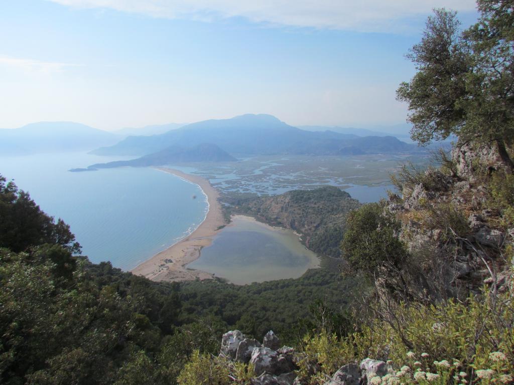 Dalyan Palmiye Resort Hotel エクステリア 写真