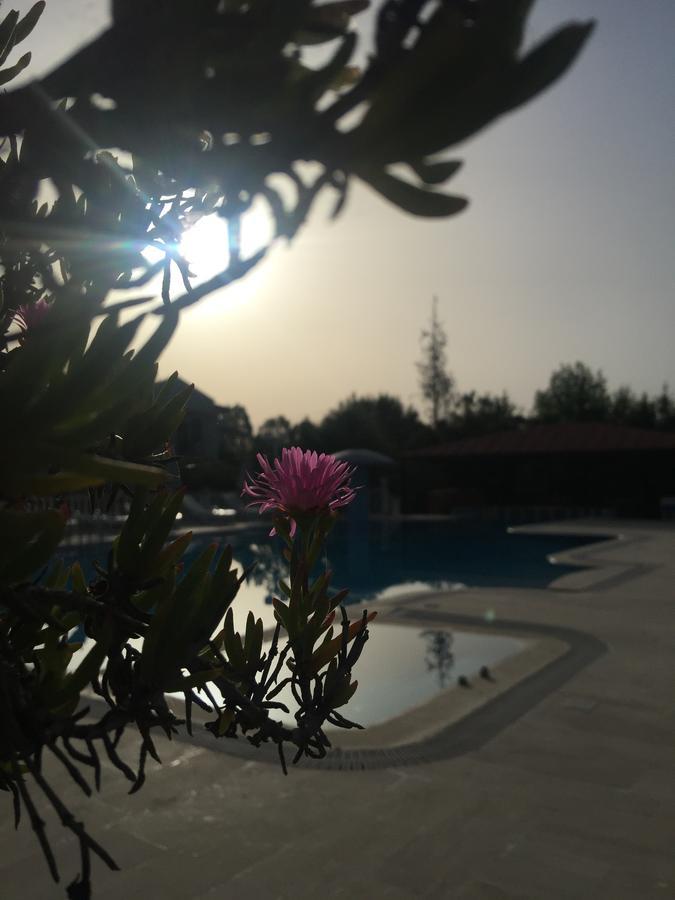 Dalyan Palmiye Resort Hotel エクステリア 写真
