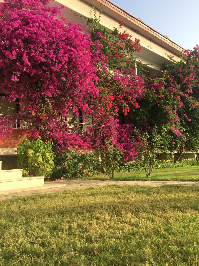 Dalyan Palmiye Resort Hotel エクステリア 写真